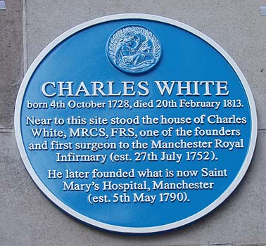 plaque