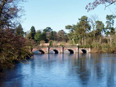 Bridge