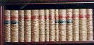 Shelf of Books