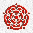 Lancashire Rose
