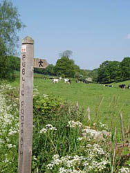 Great Gate