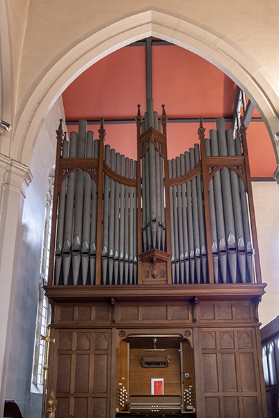 Organ