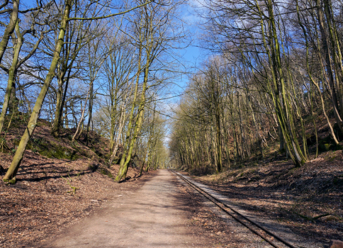 Track