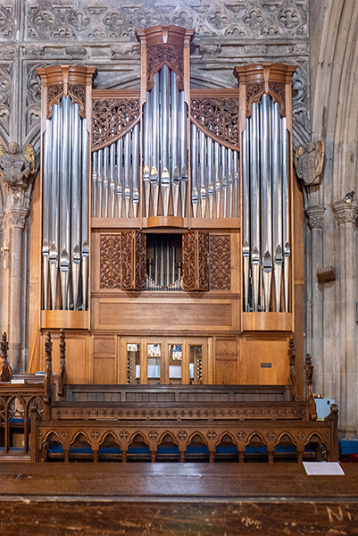 Organ